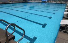 The women's swimming team took third place at the Palomar Invitational