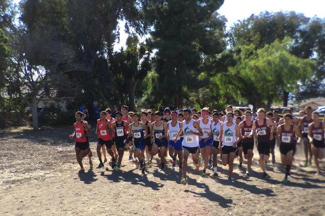 Falcon men's cross country takes third at the SCC Championships