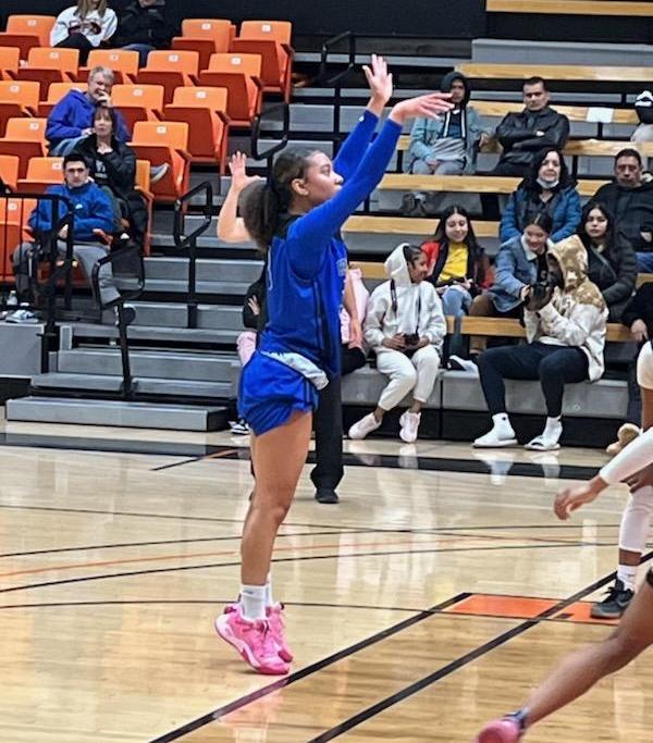 Bridgette McIntyre led the Falcons with 15 points