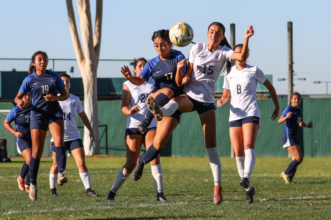 Falcons drop 1-0 decision in conference tournament