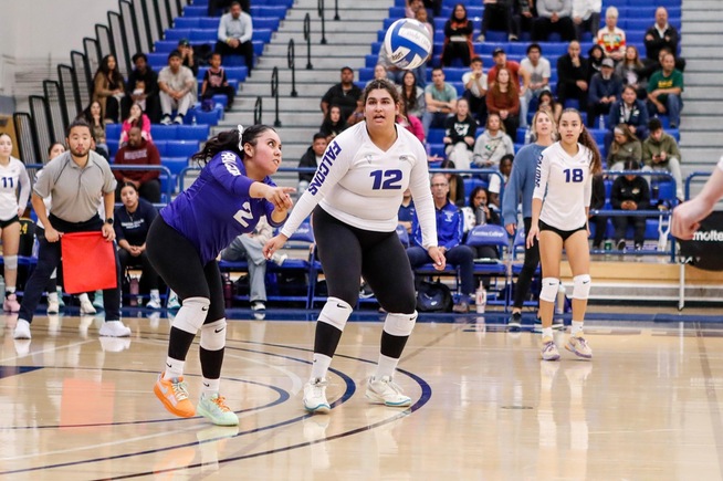 Priscilla Castillo (2) and the Falcons advance to the next round of the playoffs with win