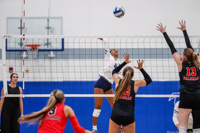 File Photo: Jordin Lewis paced the Falcons against Glendale